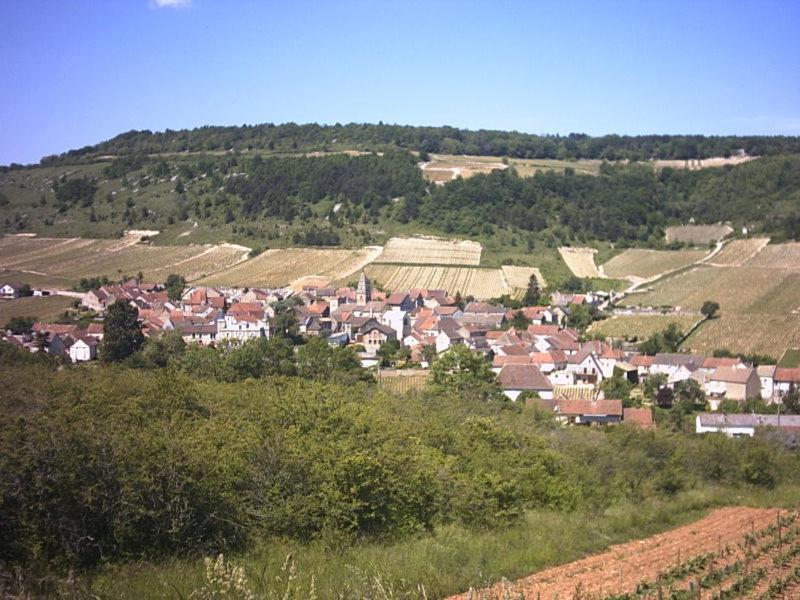 Le Lodge Du Parc Beaune (Cote d'Or) Exterior foto